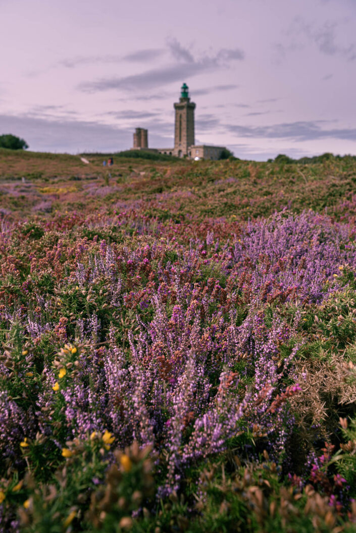France brittany, travel photography, Luisa Puccini, nature, lighthouses